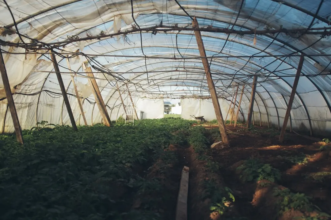 制砖制品常见型号规格与适用场景对比分析