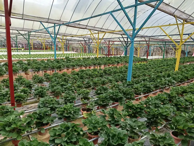 孝感联承制砖新型墙材在建筑节能项目中的技术优势分析