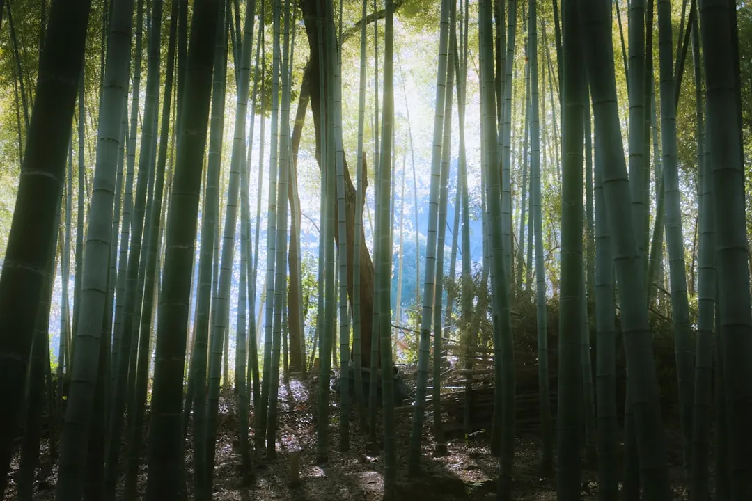 联承制砖与普通烧结砖的强度及耐久性对比分析