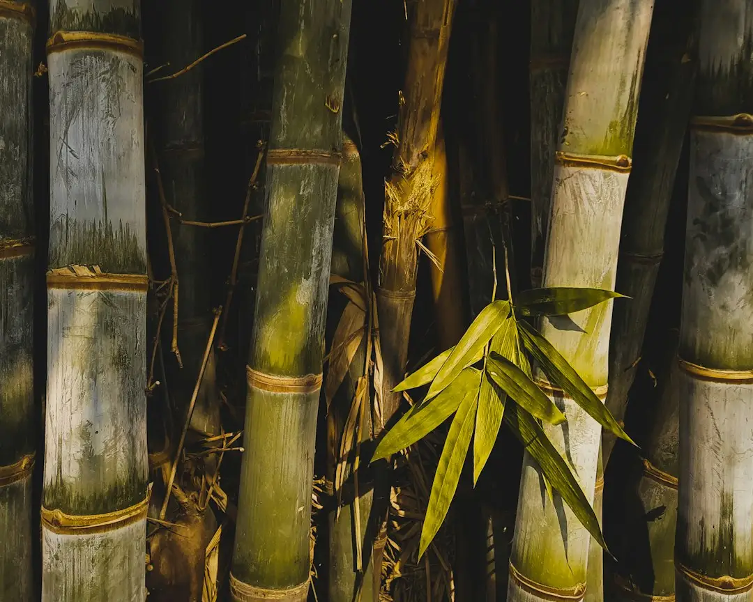 制砖制造与建材生产如何协同？解析孝感联承制砖的墙材供应模式正文配图 1